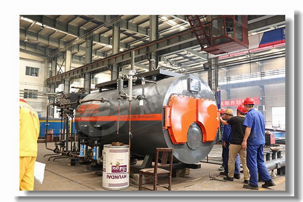 4噸燃生物質(zhì)顆粒鍋爐有哪些性能參數(shù)？