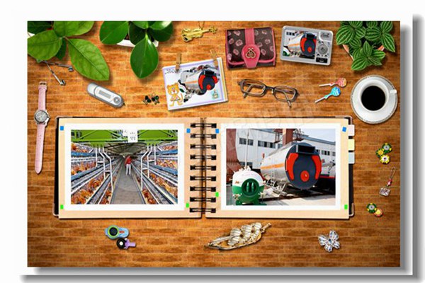 循環(huán)流化床鍋爐床溫該如何進行調(diào)整？