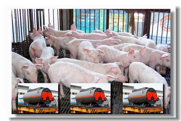 如何提高循環(huán)流化床CFB鍋爐可用率？